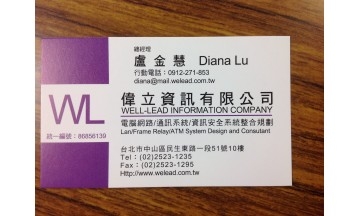 偉立資訊有限公司
