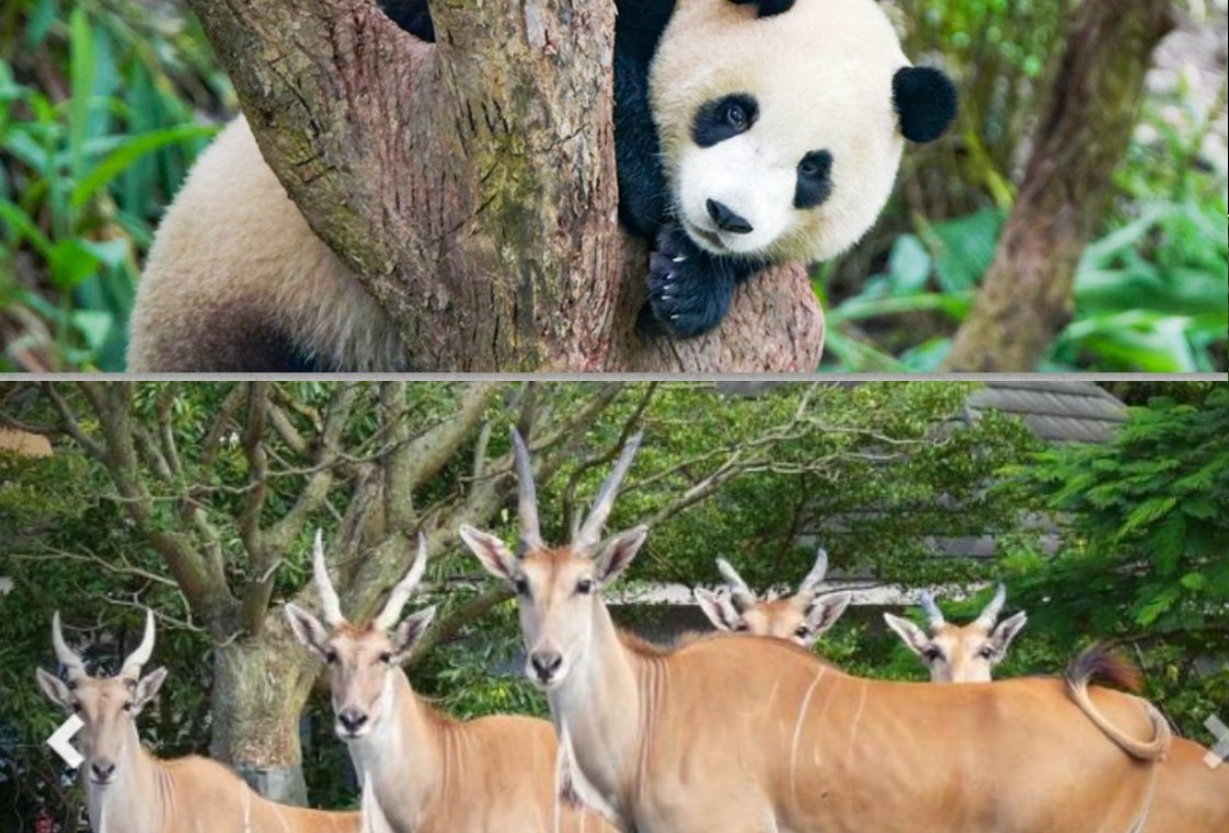 防治糖尿病